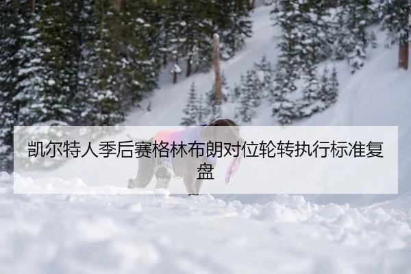 凯尔特人季后赛格林布朗对位轮转执行标准复盘